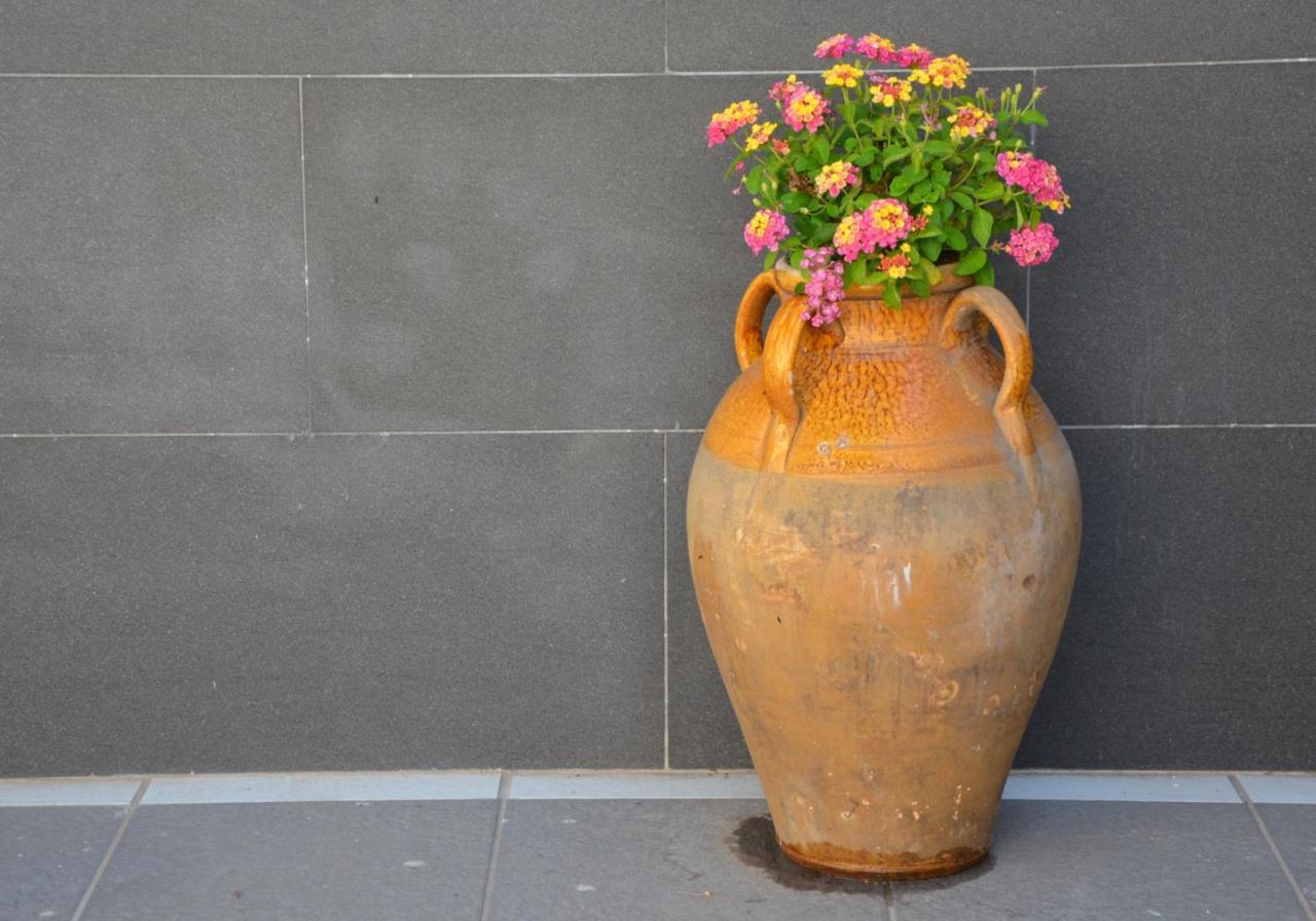 Rosa Vesuviana Bed & Breakfast Boscoreale Exterior foto